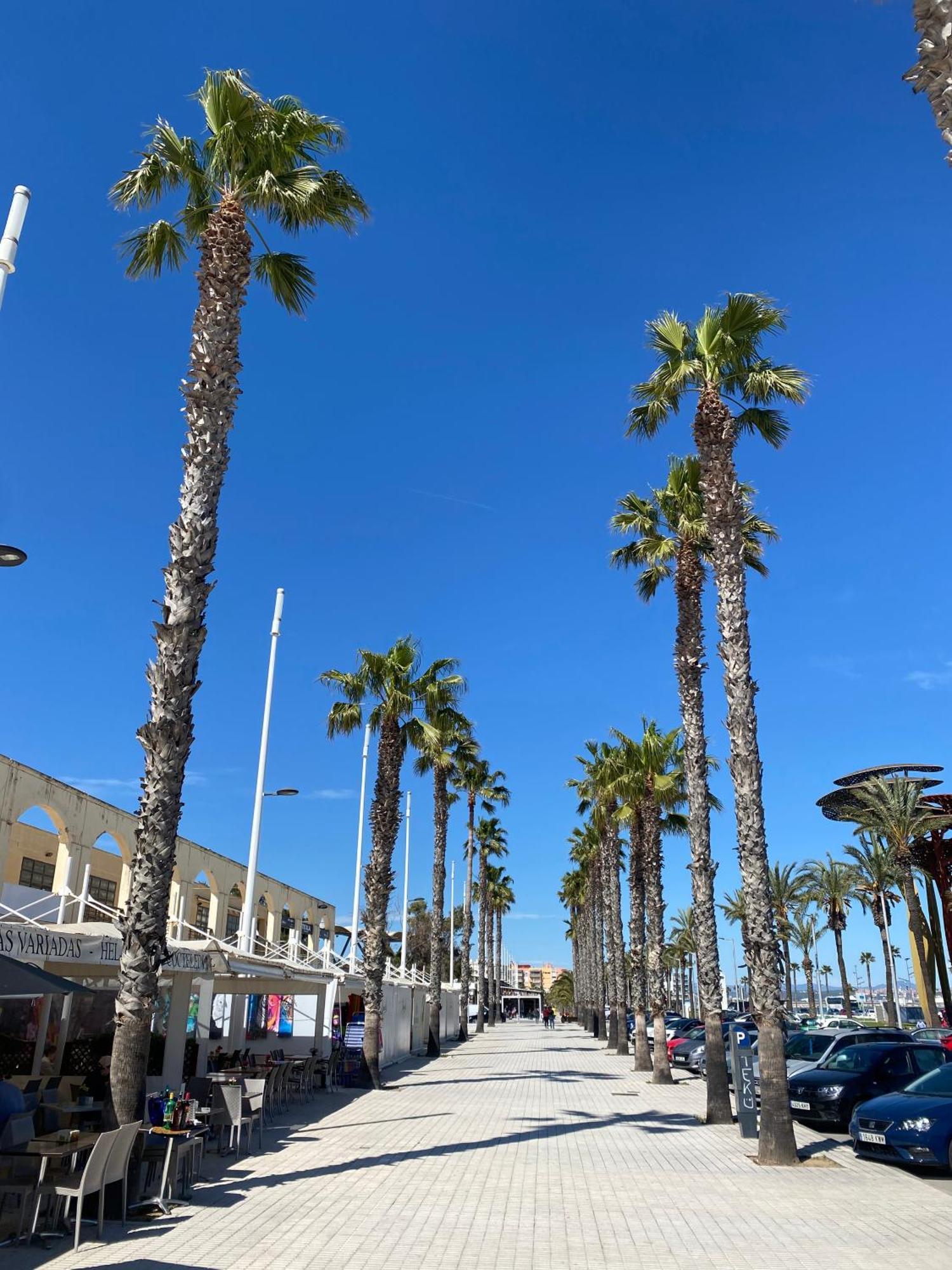 Apartment 13199, Next To The Beach In The Sun, Building Dms-2 La Pineda Buitenkant foto